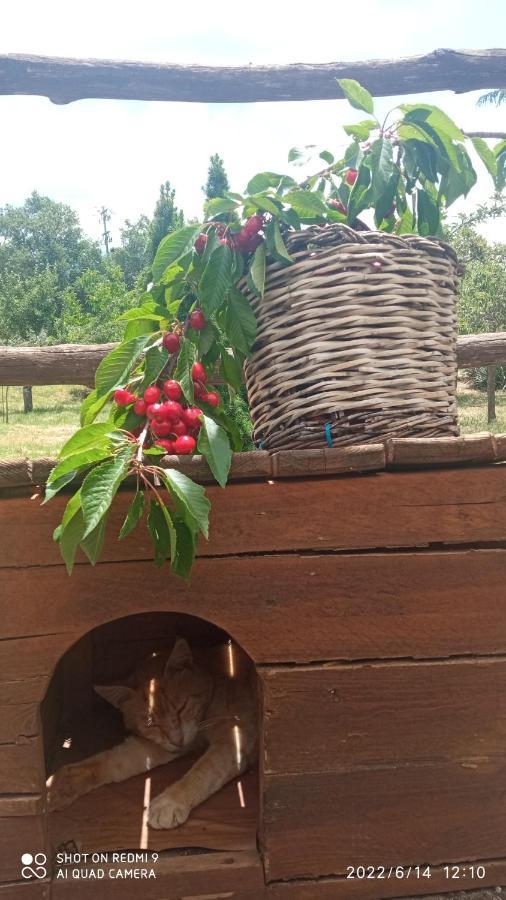 فيلا Etna, Salvia E Rosmarino Maletto المظهر الخارجي الصورة