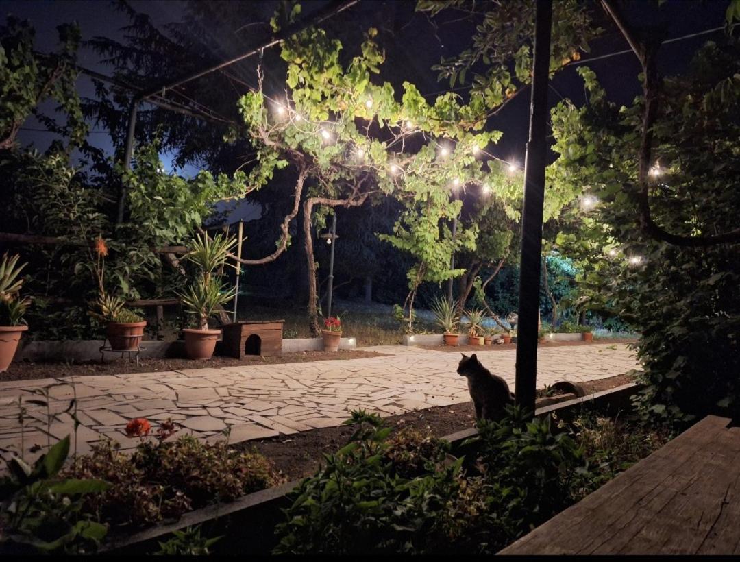 فيلا Etna, Salvia E Rosmarino Maletto المظهر الخارجي الصورة